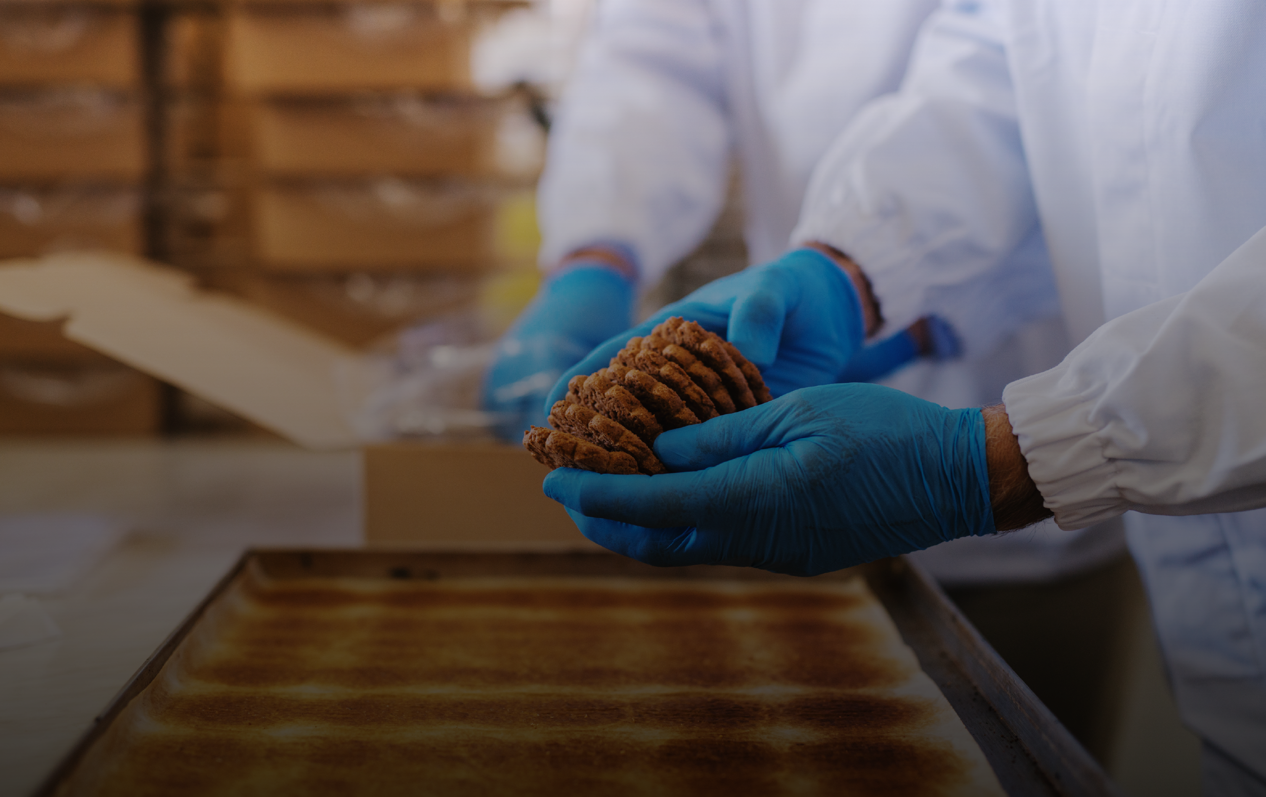 Capacitación: Desarrollo de Productos